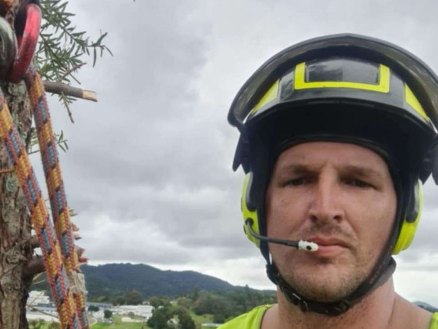 Arborist in a helmet and hi-vis vest roped in high in a tree, with hills and houses in the distance